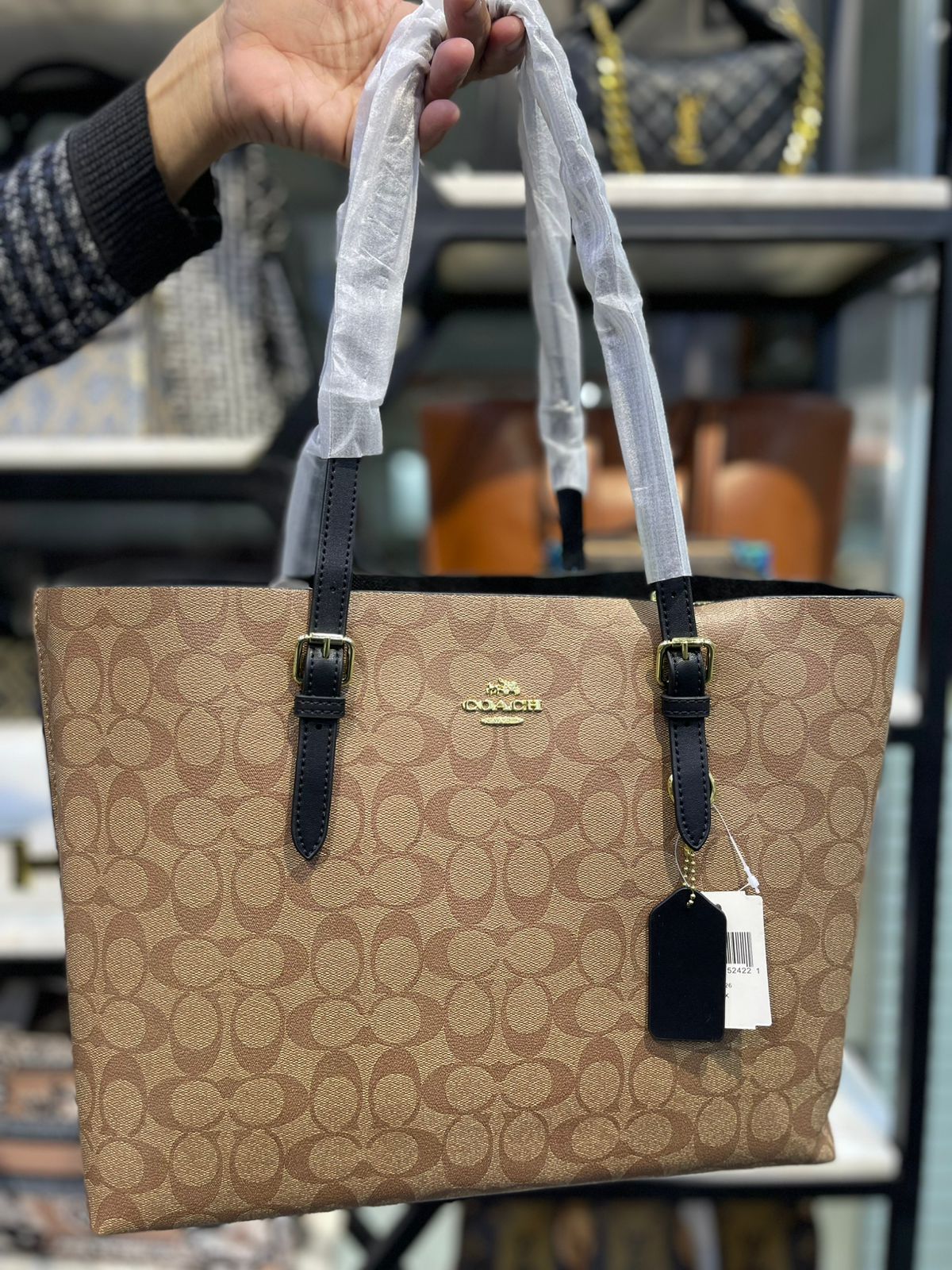 COACH Mollie Tote Bag